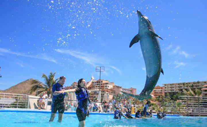 Hostal Las Quintas San José del Cabo Zewnętrze zdjęcie